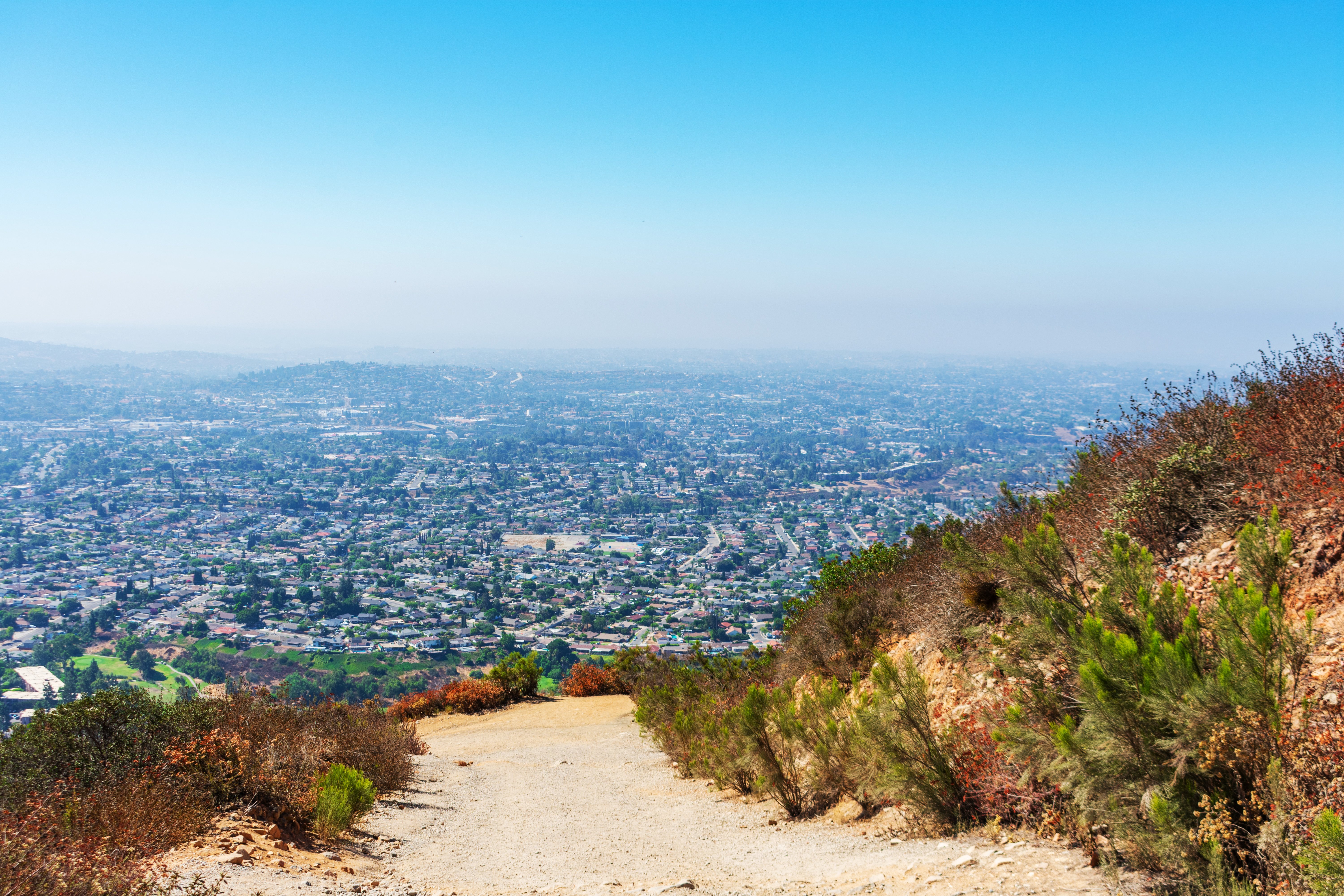 AdobeStock_954318553